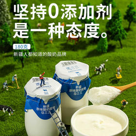 【新疆0添加小白罐酸奶】自然发酵，口感醇厚，奶香浓郁！不仅是0添加，还是活性益生jun酸奶！加水果、坚果营养又丰富！【MS-J】