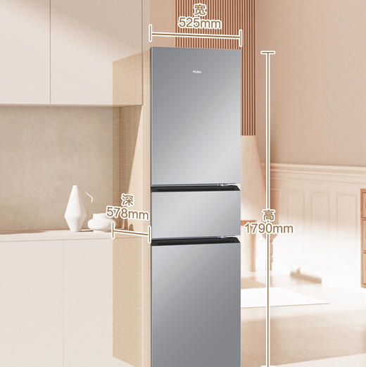 海尔（Haier）冰箱 BCD-217WGHC3E9S9 商品图3