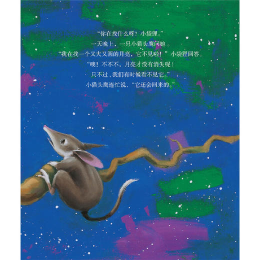 【点读版】亲子阅读图画书系（0-3岁）：袋狸的月亮（平） 商品图2