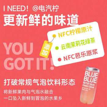 柠檬共和国（Lemon Republic）芭乐气泡果汁饮料柠檬汁维C微气泡常温饮料300ml*12瓶装 /水饮冲调 /饮料 /果蔬汁/饮料 商品图0
