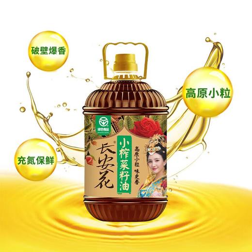 长安花高原小粒绿色菜籽油5L 商品图0