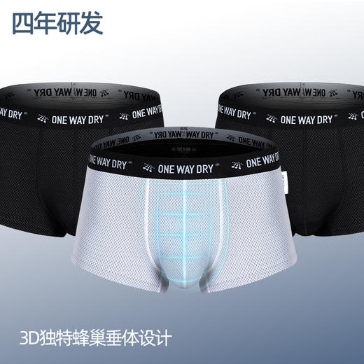 单导矩阵蜂巢内裤单向速干透气男平角底裤抗菌舒适耐勾刮排汗打底 商品图3