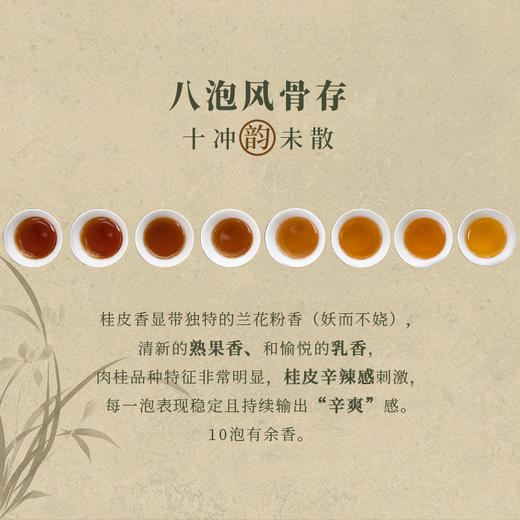 武夷瑞芳｜九曲桂华｜51g礼盒装正岩肉桂 商品图3