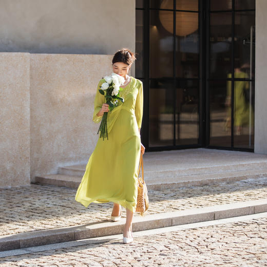 【林栖设计小店】【林栖推荐】（现货）麦穗绣花绿色真丝连衣裙女2025早秋100%桑蚕丝连衣裙N1953320 商品图2