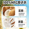 南国100%椰子水 NFC天然电解质水 海南特产椰果椰汁 250ml*24盒 整箱 /水饮冲调 /饮料 /果蔬汁/饮料 商品缩略图1