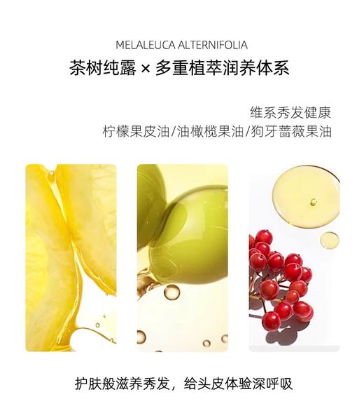 【中欧班列】澳洲进口OLIVIAM澳莉维亚茶树净透控油洗发水/菁萃沐浴乳/精华身体乳/200ml/瓶 商品图5