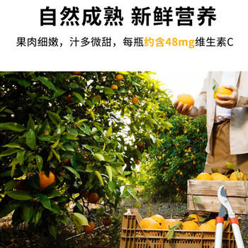 零度·果坊100%纯果汁NFC橙汁280g*8瓶整箱鲜果压榨含VC饮料品聚餐出游小瓶 /水饮冲调 /饮料 /果蔬汁/饮料 商品图3