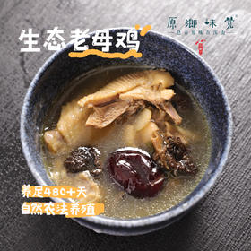 生态老母鸡/公鸡（基地直发-顺丰快递）| 净重2斤+/只， 来自山东济南，养殖者：田海平【合作生产，公平贸易】