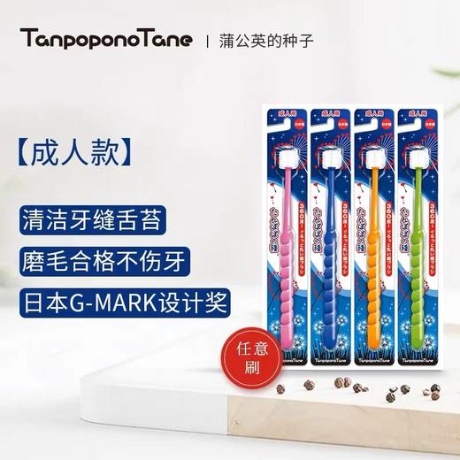 【中欧班列】  日本蒲公英的种子牙刷 原装进口蒲公英360度旋转细密清洁去垢成人儿童婴儿极细软毛清洁 /支 商品图2