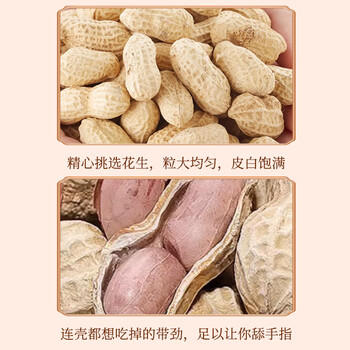 俏己食蒜香龙岩水煮花生坚果炒货白晒干咸干湿烤花生零食下酒菜解馋1斤 /休闲食品 /坚果炒货 /花生 商品图1