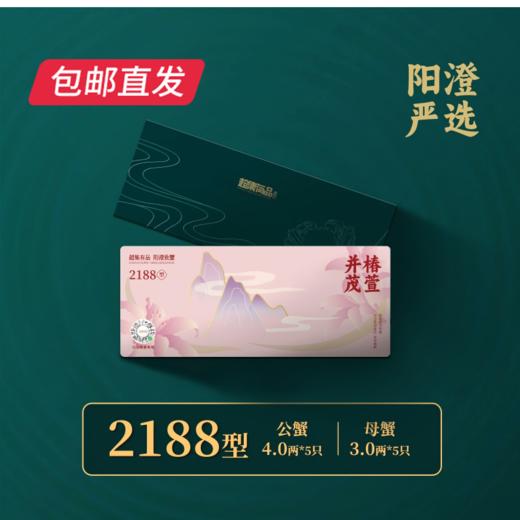 超集有品阳澄湖大闸蟹礼品卡券  多规格任选【包邮直发】 商品图4