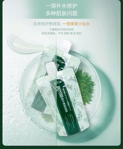 【中欧班列】ATES酒粕面膜多品类：酒粕精华面膜10片*30g/盒 商品图3