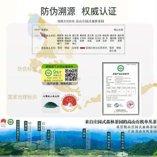 乌龙茶·凤凰单丛｜双髻娘山·高山有机·特级·鸭屎香凤凰单枞 潮州乌龙茶凤凰单从 规格：125g*1罐 拍2罐配送礼盒一套 商品图3