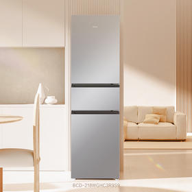 海尔（Haier）冰箱 BCD-218WGHC3R9S9