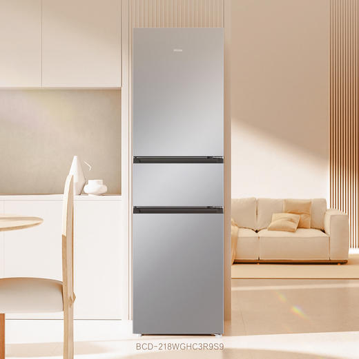 海尔（Haier）冰箱 BCD-218WGHC3R9S9 商品图0
