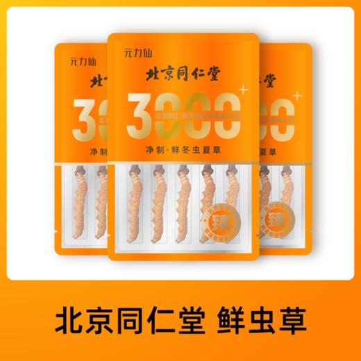 北京同仁堂元力仙专订鲜虫草0.4-1.2g/根 商品图0