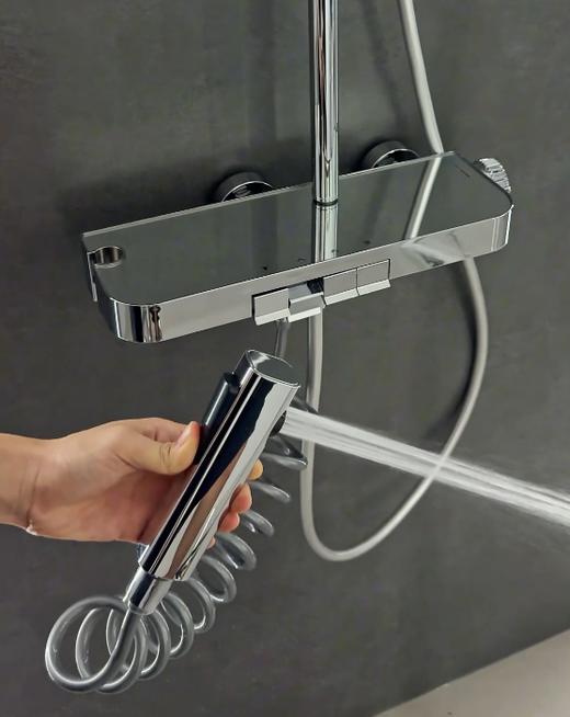 6047凯恩花洒-电镀 商品图3