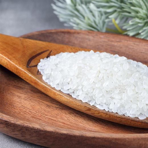 五常长粒香家庭装  5kg 商品图3