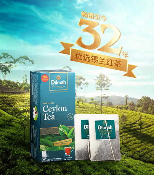 【中欧班列精选】 斯里兰卡迪尔玛原味红茶 原装进口迪尔玛英式早餐冲泡茶包饮品原味红茶 2g*25包/盒 商品图0