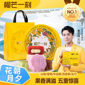 榴芒一刻  花朝月夕冰皮月饼550克(55g*10) 中秋送礼 果香满溢 五重惊喜 48小时发货
