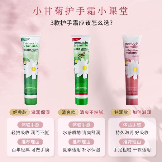 【中欧班列】【秋冬护手必备】新款德国贺本清小甘菊特润护手霜75ml/瓶 商品图2