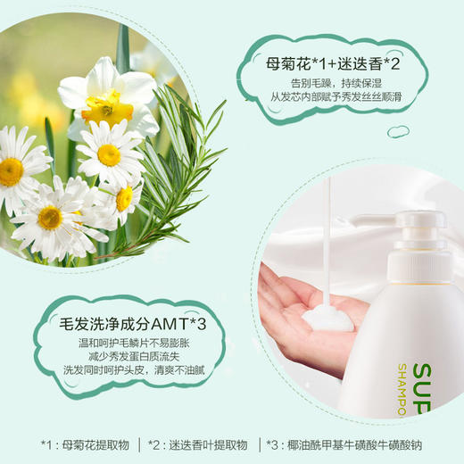 【中欧班列】日本进口 资生堂 惠润洗水 护发 沐浴乳  绿野芳香去屑止痒控油蓬松柔顺洗发护发  鲜花芳香洗发 护发600ml/瓶 惠润淡雅柑橘淡雅果味沐浴乳650ML/瓶  SHJH 商品图6