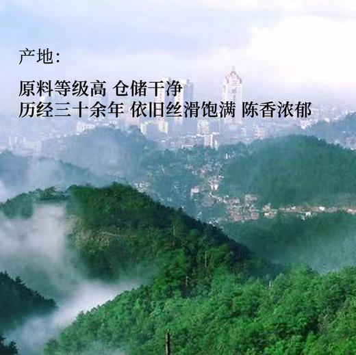 守艺 · 龙韵90年代特级老六堡50克 黑茶 六堡茶 商品图4