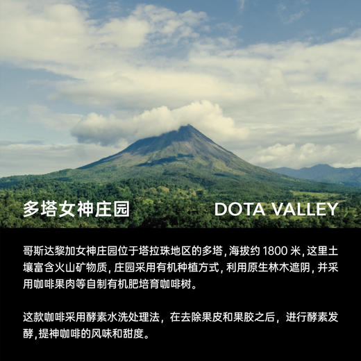 明谦 女神瑰夏咖啡豆哥 手冲冰美式咖啡黑咖啡 商品图3