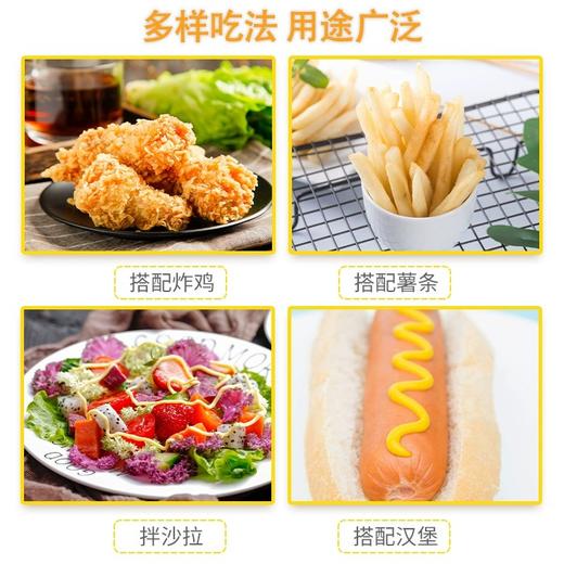 【中欧班列精选2瓶】美国亨氏 黄芥末调味酱 255g*2 SHRW 商品图2