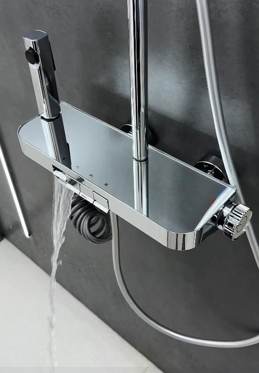 6047凯恩花洒-电镀 商品图1