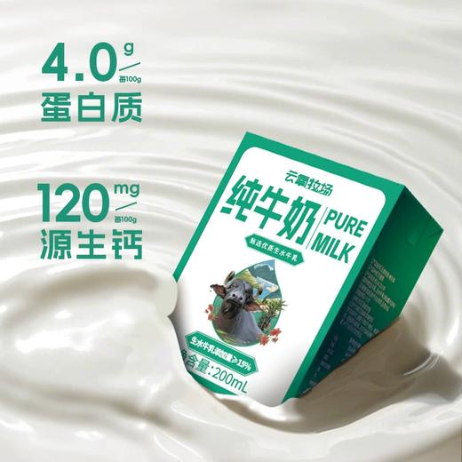 云氧牧场石埠水牛奶 | 一口醇厚 · 满口香浓.营养丰富口感甘甜【清明期间正常发货】 商品图0