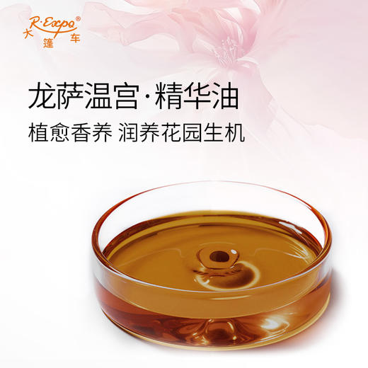龙萨温宫·精华油 奢养按摩植物精华油原料SPA自护理批发芳疗康养 商品图1