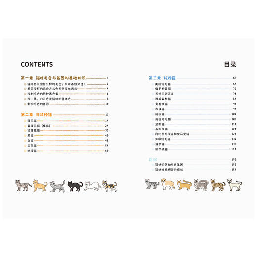 【SendPoints】【万物图解】与猫共处：猫咪毛色与性格的基因密码 善本中文简体艺术漫画 商品图4