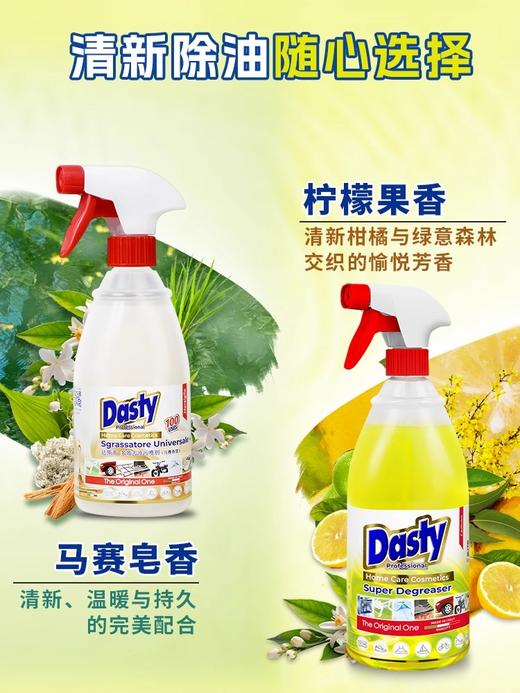 【中欧班列精选】意大利进口Dasty 多功能厨房油污净强力清洁剂1000ml 商品图2
