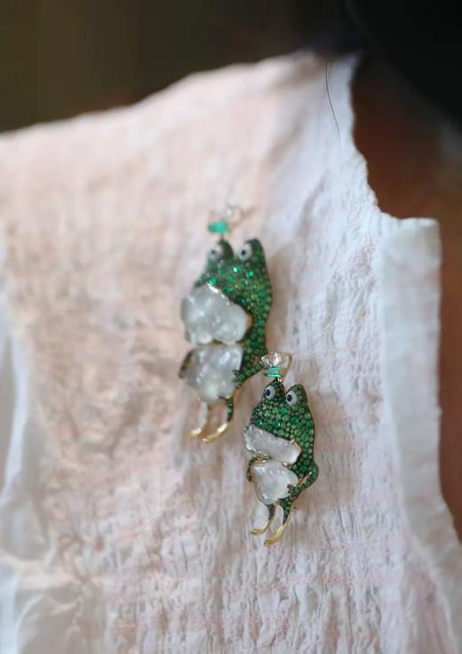 人类你好呀，我是一只角蛙 商品图1