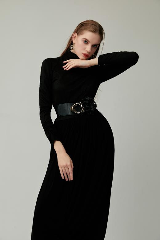 SAFICOO 优雅女人 收腰显瘦 高贵十足连衣裙 商品图4