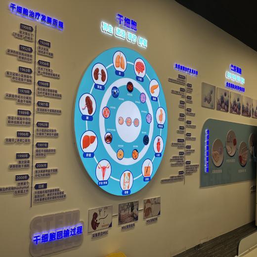 12月14日 越秀·科学实验独立半日营 | 精心设计主题课程，从人体结构到生活科学，从急救技能到微生物探究，一起探索科学，解锁生命密码！ 商品图3