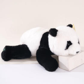 【成都大熊猫糕点主题馆】趴趴熊猫