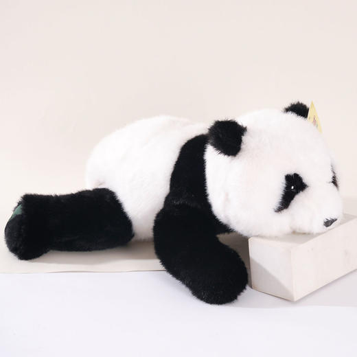 【成都大熊猫糕点主题馆】趴趴熊猫 商品图0