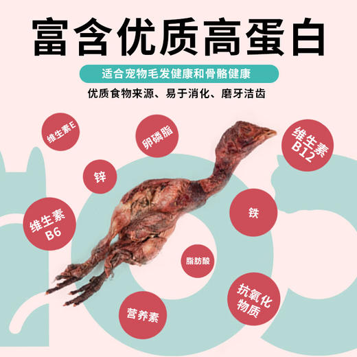 【倍鲜法则】冻干小鸡仔70g 商品图3