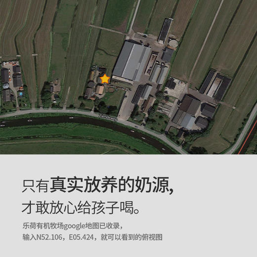 荷兰乐荷有机全脂纯牛奶12盒/24盒装 商品图5