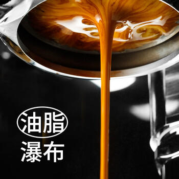 布蕾克（cafebreak）咖啡豆金奖甜黑巧意式拼配手冲中深烘焙美式拿铁250g年货节礼物 /水饮冲调 /咖啡 /咖啡豆/粉 商品图3