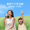 认养一头牛常温原味酸奶200g*20盒/生牛乳发酵早餐量贩整箱礼盒 /水饮冲调 /常温奶 /酸奶 商品缩略图2