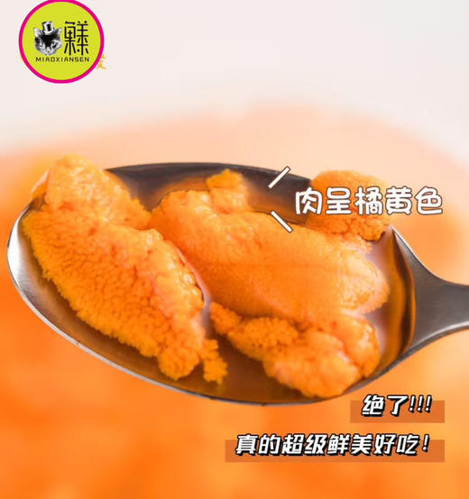 【次日达】胆大包鲜（马粪海胆肉）每天现加工现发，赏味期一个月 商品图3