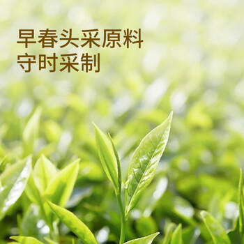 京东京造鲜来多碧螺春毛尖绿茶明前春茶嫩芽共250g罐装自营茶叶礼盒送礼 /水饮冲调 /茗茶 /绿茶 商品图3