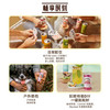 宾得宝（Bundaberg）澳洲进口含气葡萄柚汁饮料200ml*6Mini罐 春日出游发酵果汁气泡水 /水饮冲调 /饮料 /碳酸饮料 商品缩略图1