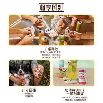 宾得宝（Bundaberg）澳洲进口含气葡萄柚汁饮料200ml*6Mini罐 春日出游发酵果汁气泡水 /水饮冲调 /饮料 /碳酸饮料 商品图1