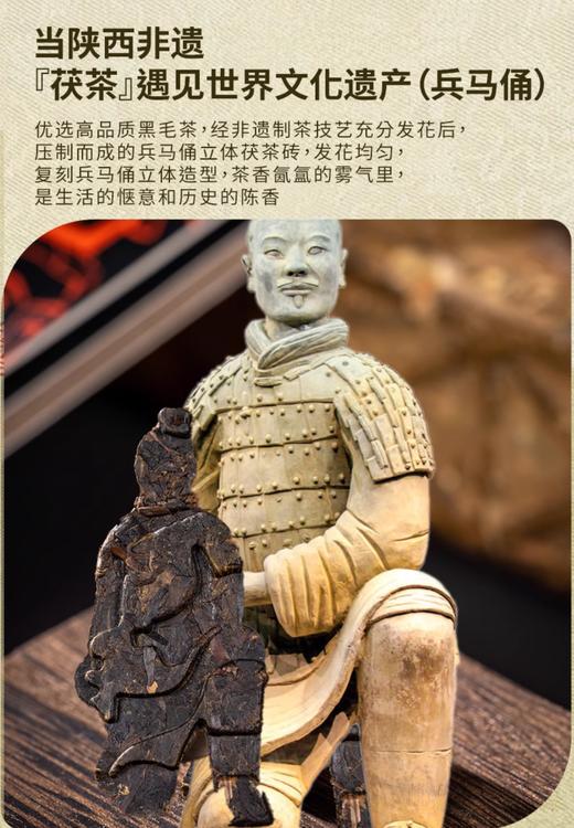 【长安限定地标9景】泾阳茯茶18g 金花黑茶 商品图6