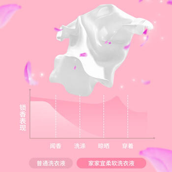 家家宜洗衣液柔顺快洗24斤3效合1护色增艳持久留香蓬松家庭装整箱批发 /家庭清洁/纸品 /衣物清洁 /普通洗衣液 商品图7