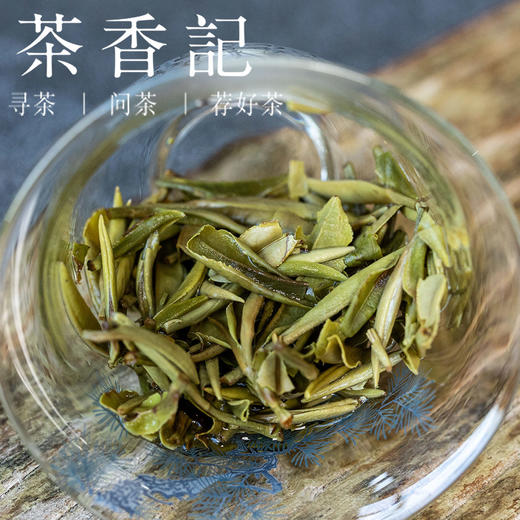茶香记九龙白牡丹025高山老树茶青鲜爽底子传统工艺好喝耐泡 商品图5
